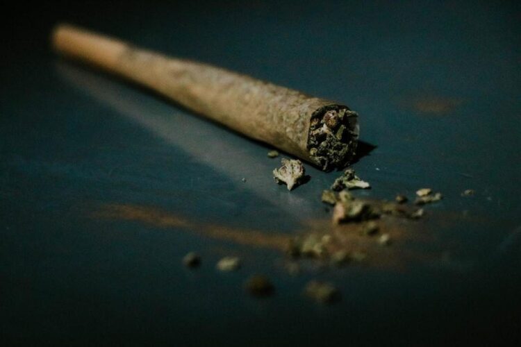 What Separates a High quality Pre-Roll From a Mediocre One