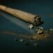 What Separates a High quality Pre-Roll From a Mediocre One