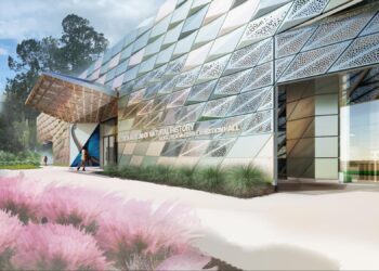 Mariana Bravo: Redefining Museum Design Via Vary, Management, and Precision