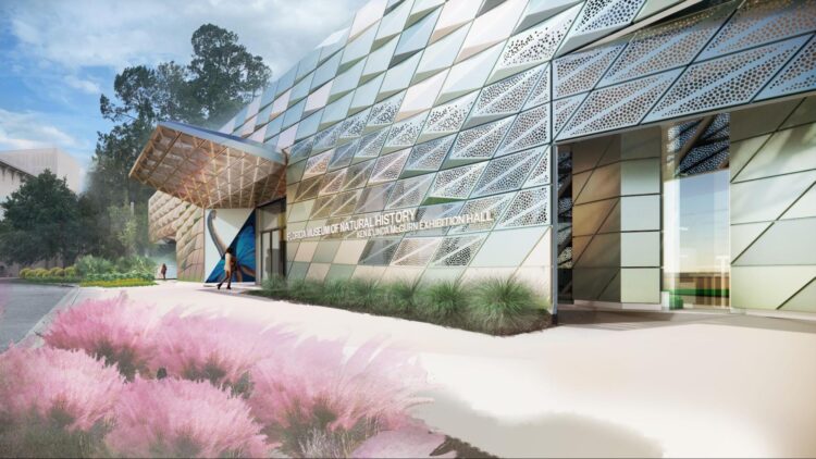Mariana Bravo: Redefining Museum Design Via Vary, Management, and Precision