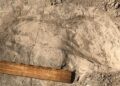 Unexpectedly Massive Hominins Recognized From 1.4-Million-Yr-Previous Footprints By An African Lake