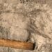 Unexpectedly Massive Hominins Recognized From 1.4-Million-Yr-Previous Footprints By An African Lake