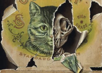 Trompe-L’œil Work by Jason Limon Reveal a Hidden Skeletal World — Colossal