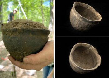 Uncommon Centuries-Previous Native American Potano Pot With Unknown Use Found In Florida