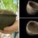 Uncommon Centuries-Previous Native American Potano Pot With Unknown Use Found In Florida