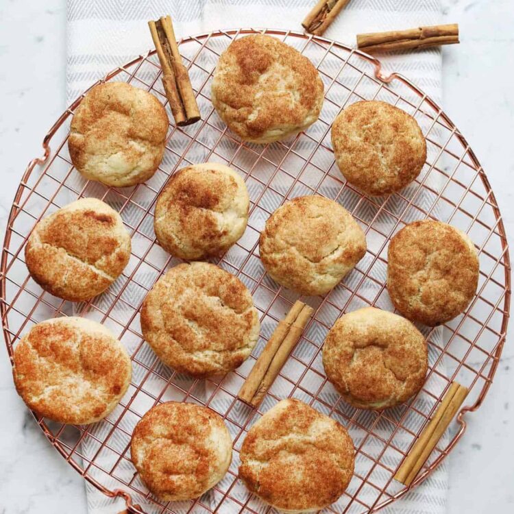 Snickerdoodle Recipe (With out Cream of Tartar)