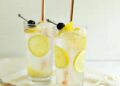 Tom Collins – A Stunning Mess