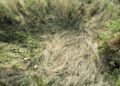 Katherine Wolkoff Meditates on Absence in Her Tender Pictures of Deer Beds — Colossal