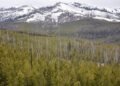 Wyoming Affiliation of Archaeologists Sues Fed Gov’t Over NAGPRA