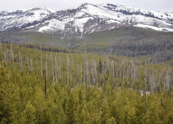 Wyoming Affiliation of Archaeologists Sues Fed Gov’t Over NAGPRA