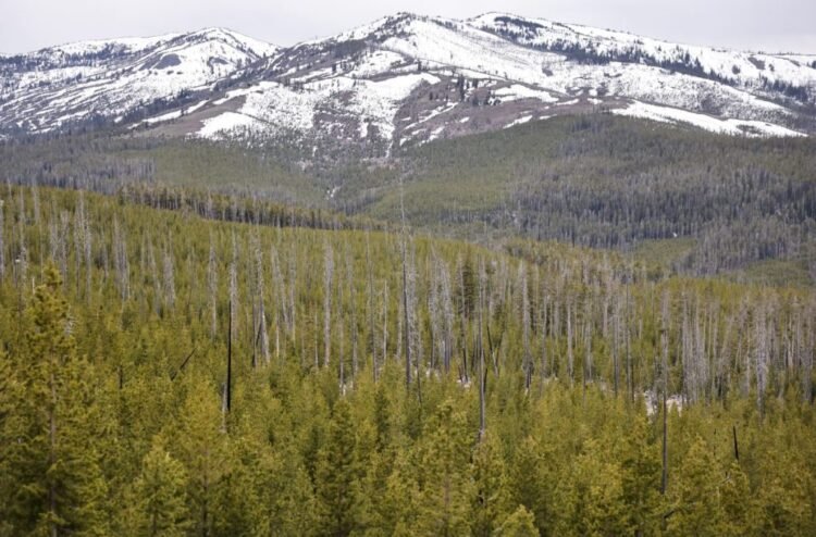 Wyoming Affiliation of Archaeologists Sues Fed Gov’t Over NAGPRA