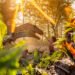 Excision Reveals Every day Lineups for 2026 Misplaced Lands Competition