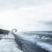 Kronos Properties Bets That Nice Structure Can Make Housing a Work of Artwork » Design You Belief — Design Every day Since 2007