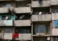 Networks of suspicion | Eurozine