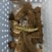 Bronze Age hoard present in Czech Republic  – The Historical past Weblog