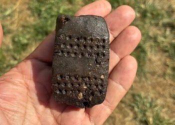 Bronze Age “enigmatic pill” present in northern Italy – The Historical past Weblog