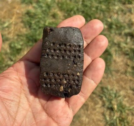 Bronze Age “enigmatic pill” present in northern Italy – The Historical past Weblog