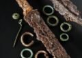 Objects from Scotland’s richest Iron Age burial on show – The Historical past Weblog