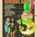 The Incorrect Ladies Has A Ty Segall Rating, A Model Pussy Cameo, And Sheer Magazine In The Opening Credit