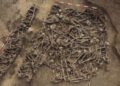 males in Roman mass grave underneath Vienna soccer discipline took many photographs to the groin – The Historical past Weblog