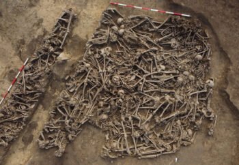 males in Roman mass grave underneath Vienna soccer discipline took many photographs to the groin – The Historical past Weblog