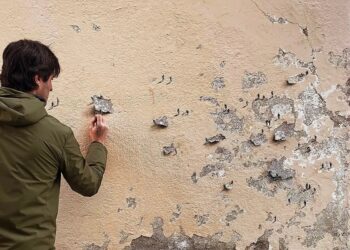 Pejac: The Artwork of Comfortable Energy and Sharp Imaginative and prescient