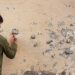 Pejac: The Artwork of Comfortable Energy and Sharp Imaginative and prescient
