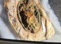 Viking girl’s grave with uncommon surviving textiles present in Western Jutland – The Historical past Weblog