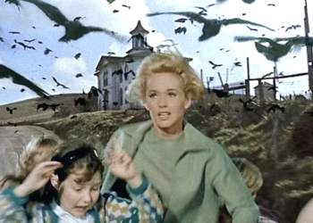 How the Chook Sound Results in Alfred Hitchcock’s The Birds Had been Created with a Pioneering Digital Instrument, the Trautonium
