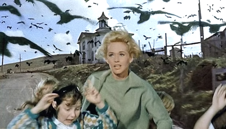 How the Chook Sound Results in Alfred Hitchcock’s The Birds Had been Created with a Pioneering Digital Instrument, the Trautonium