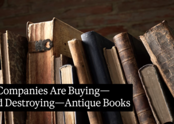 Why AI Corporations Are Shopping for—And Then Destroying—Previous Books