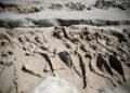 shackled males in mass grave have been native Athenians – The Historical past Weblog