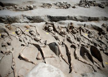 shackled males in mass grave have been native Athenians – The Historical past Weblog