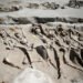 shackled males in mass grave have been native Athenians – The Historical past Weblog