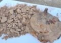 Iron Age defend boss present in Polish scrapyard – The Historical past Weblog