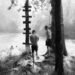 “Down by the Hudson” Guide by Photographer Caleb Stein