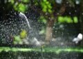 Sprinkler Restore Information: Indicators, Fixes & When to Name a Professional