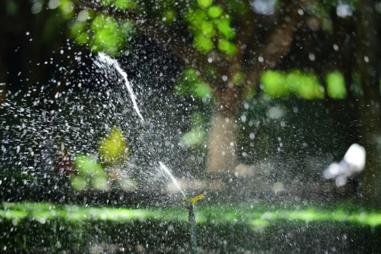 Sprinkler Restore Information: Indicators, Fixes & When to Name a Professional