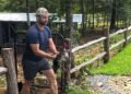 Why We Rehomed Our Rooster