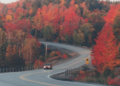Lively Historical past – We’re Again! – Lively Historical past