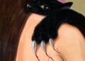 Mischievous Cats Rule in Minyoung Kim’s Affectionately Quirky Work — Colossal
