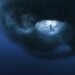 The Ocean Photographer of the 12 months Finalists Spotlight the Sorrowful and Elegant — Colossal