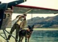 10 of one of the best movies to observe this September