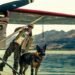 10 of one of the best movies to observe this September