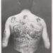 French Prison Portraits from the Thirties » Design You Belief — Design Each day Since 2007