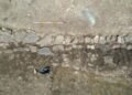 Greater than 30 early Iron Age homes present in South Tyrol – The Historical past Weblog