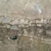 Greater than 30 early Iron Age homes present in South Tyrol – The Historical past Weblog