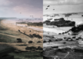 Operational Artwork – A Assortment of Unmitigated Pedantry