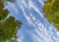 Greening and blueing | Eurozine