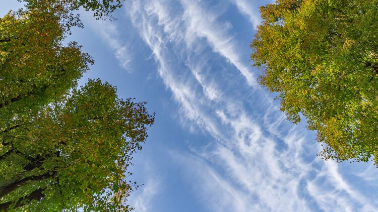 Greening and blueing | Eurozine